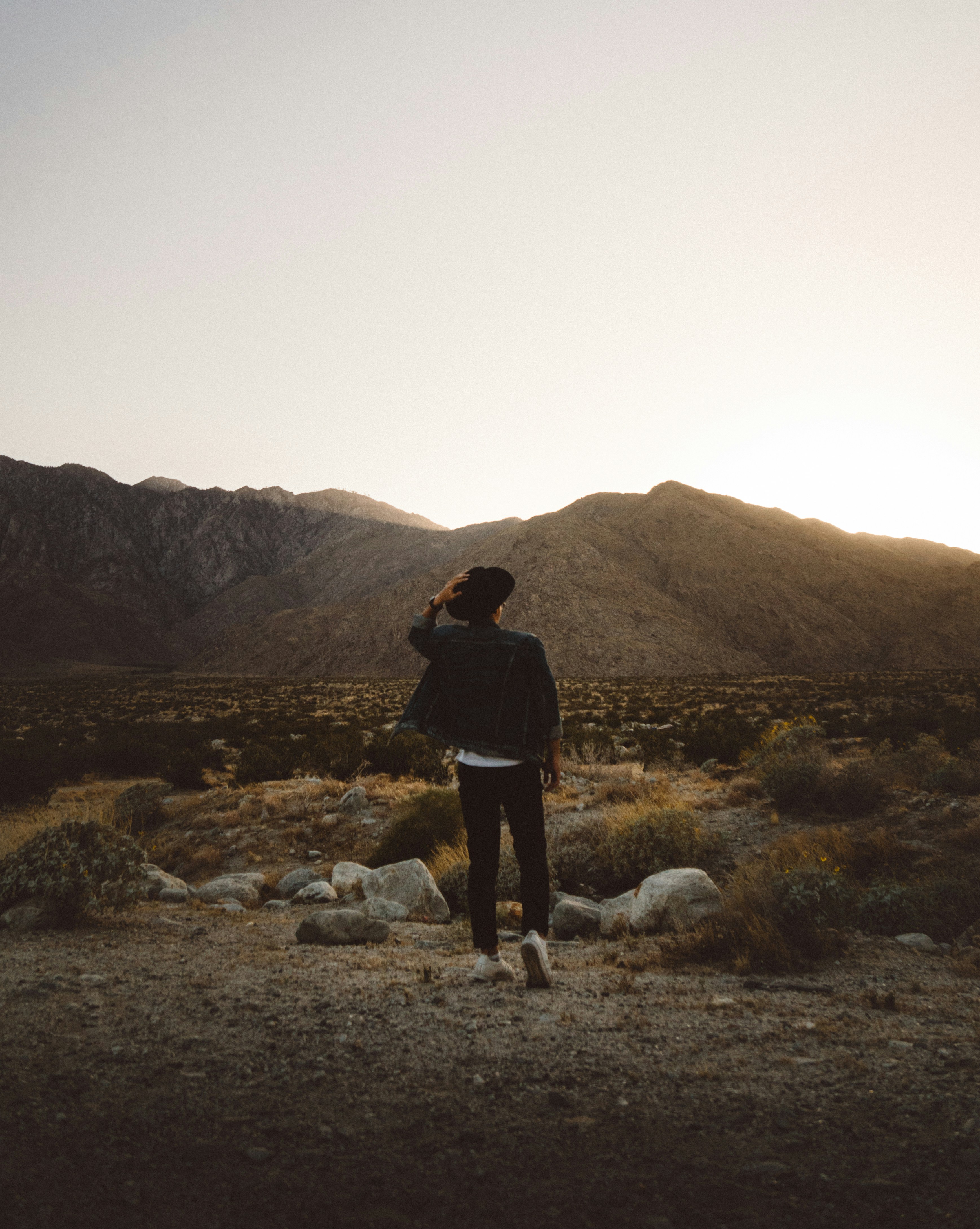 Things To See and Do In Palm Springs - Skylark Hotel We are in The ...